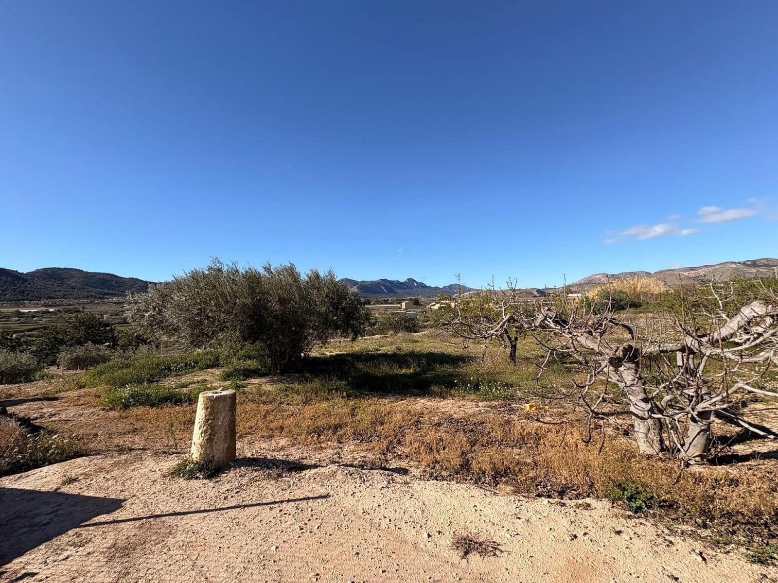 Finca/Casa Rural de 4 habitaciones en La Romana en venta con piscina garaje - 149.995 € (Ref: 4957540)