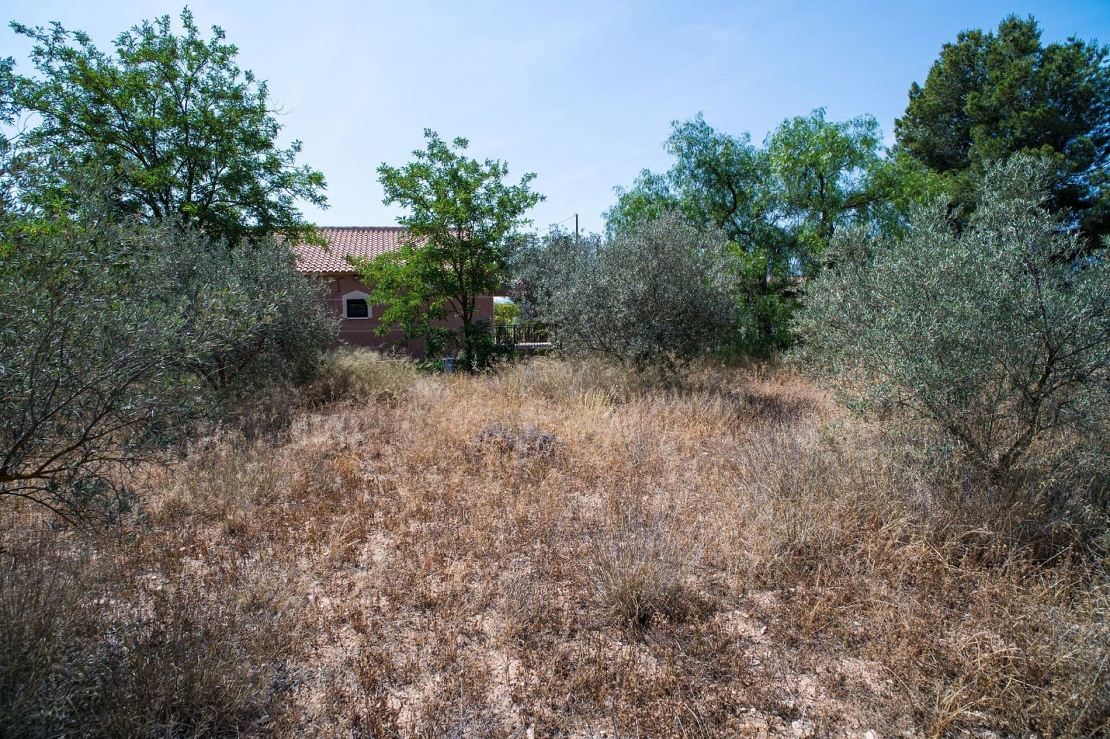 5 chambre Finca/Maison de Campagne à vendre à Pinoso avec piscine garage - 349 950 € (Ref: 4957544)