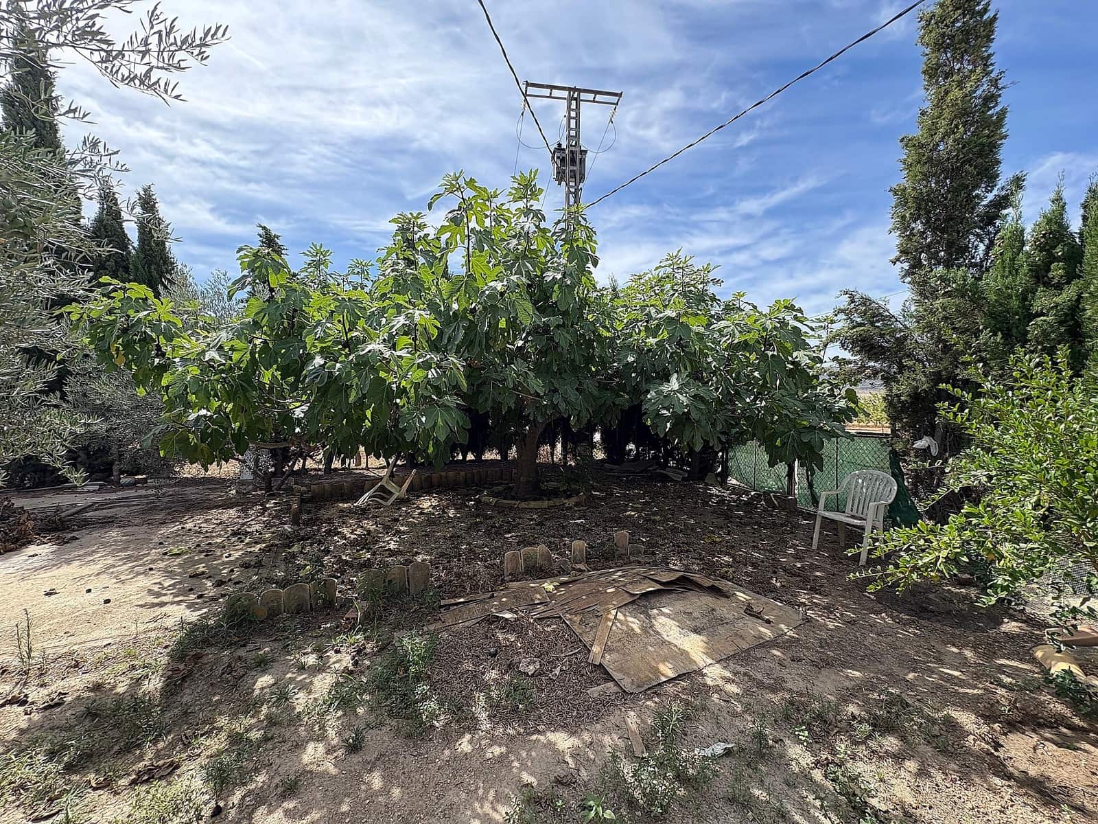 6 soverom Kjedet enebolig til salgs i Pinoso med svømmebasseng garasje - € 85 000 (Ref: 4957546)