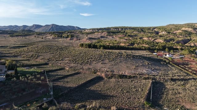 Undeveloped Land for sale in Yecla - € 61,000 (Ref: 4965200)