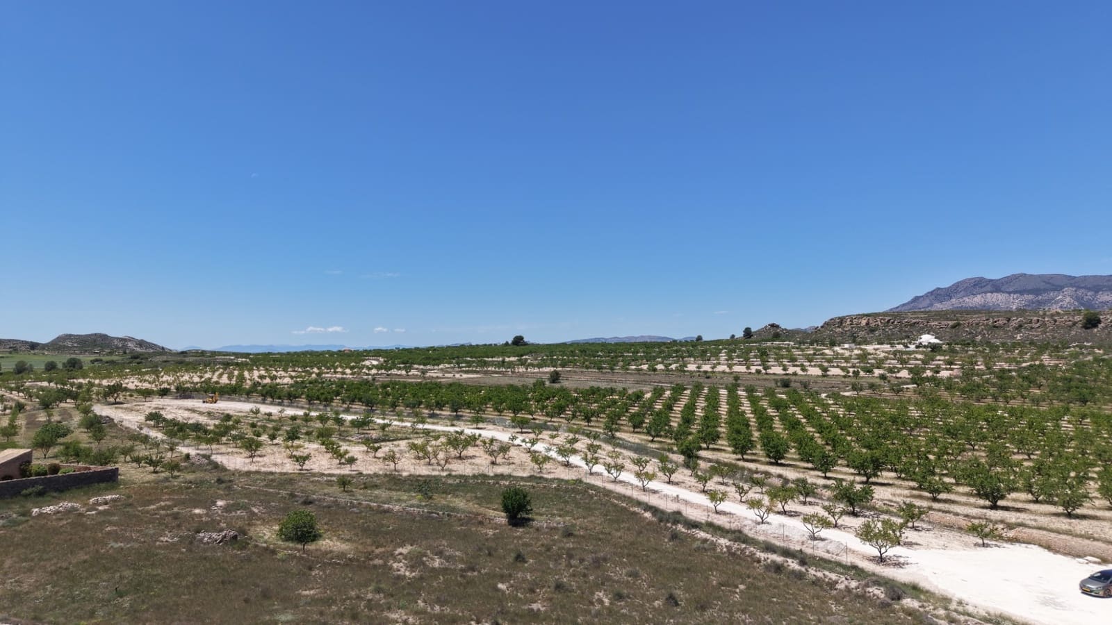Undeveloped Land for sale in Pinoso - € 95,000 (Ref: 5017588)
