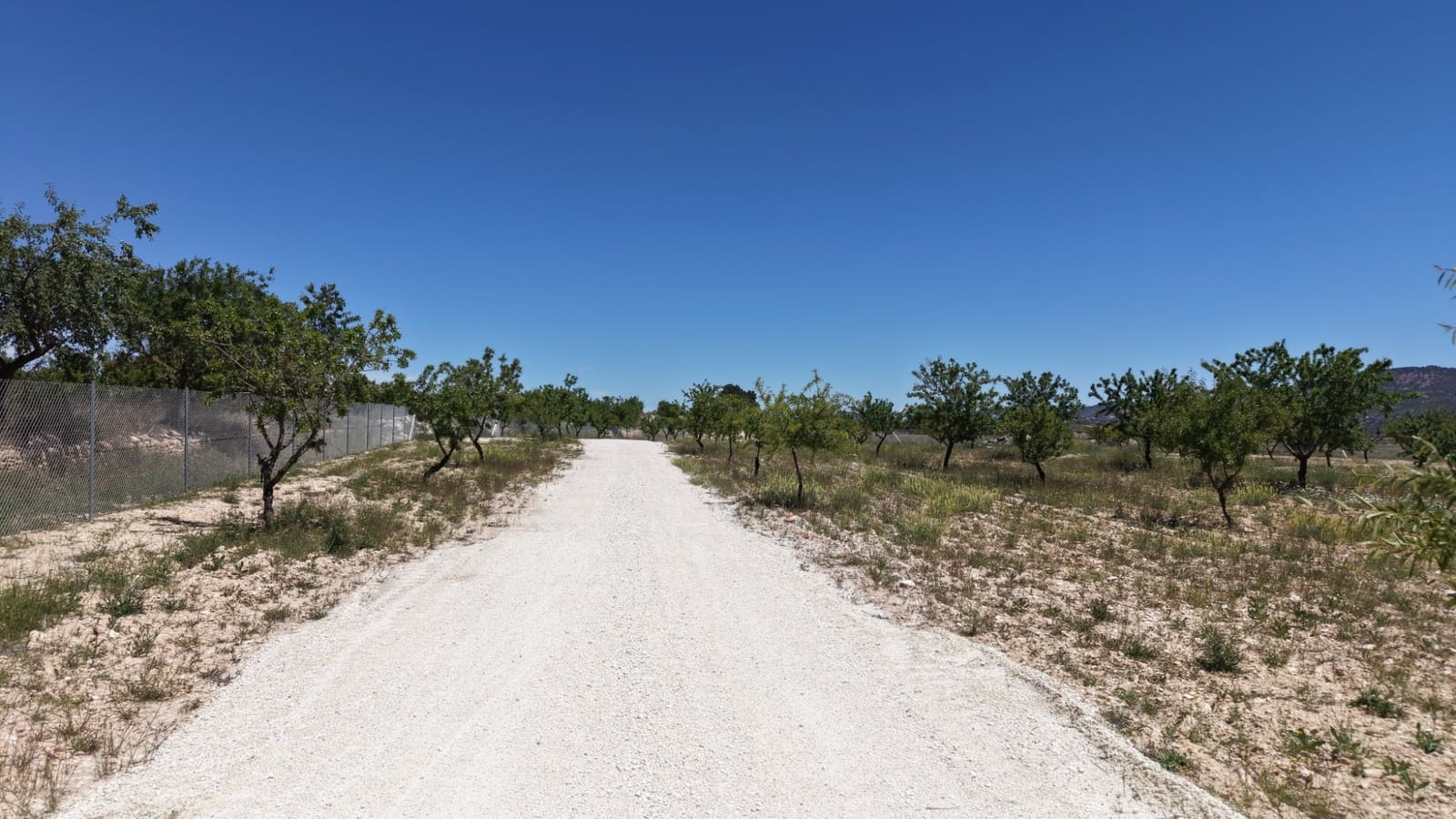 Undeveloped Land for sale in Pinoso - € 95,000 (Ref: 5017588)