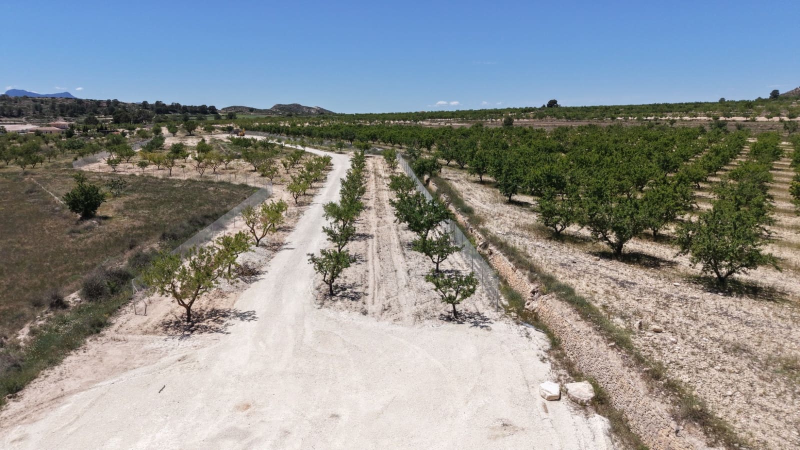 Undeveloped Land for sale in Pinoso - € 95,000 (Ref: 5017588)