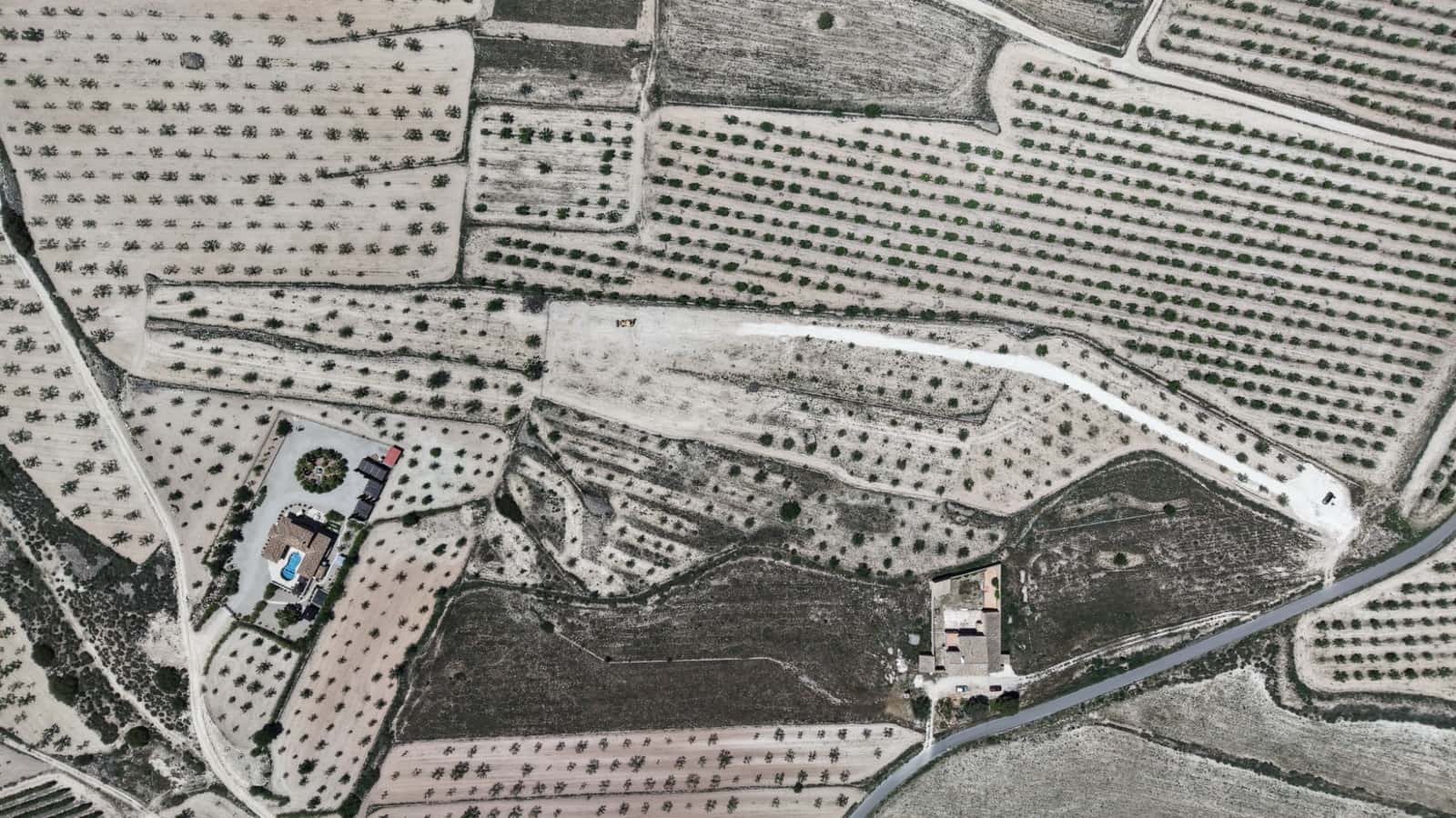 Undeveloped Land for sale in Pinoso - € 95,000 (Ref: 5017588)