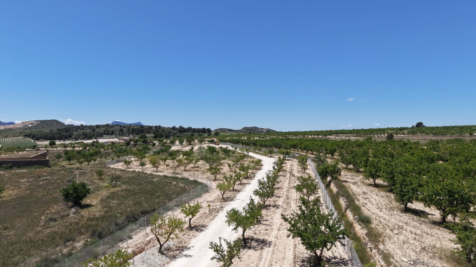 Undeveloped Land for sale in Pinoso - € 95,000 (Ref: 5017588)