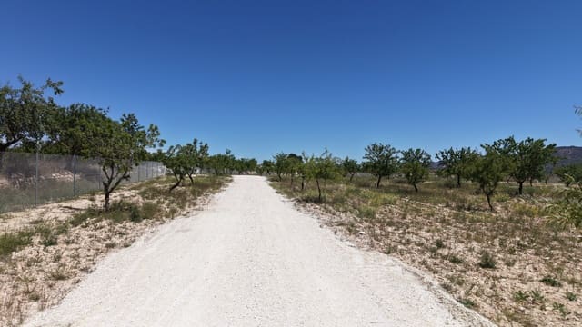 Terre non Aménagée à vendre à Pinoso - 95 000 € (Ref: 5017588)