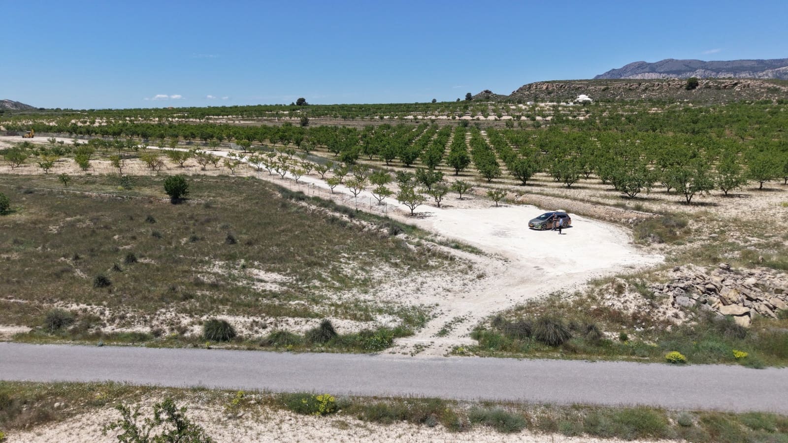 Undeveloped Land for sale in Pinoso - € 95,000 (Ref: 5017588)