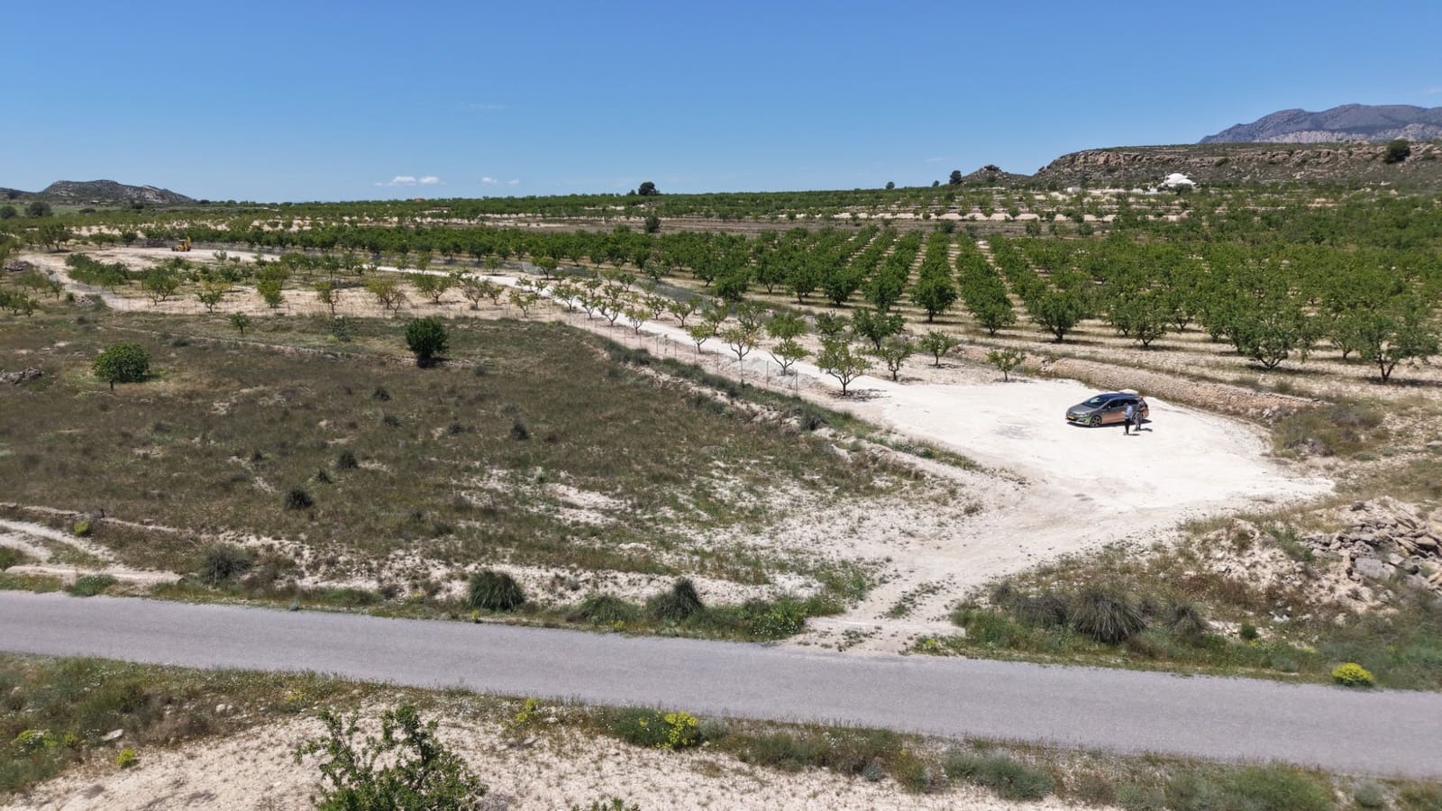 Undeveloped Land for sale in Pinoso - € 95,000 (Ref: 5017588)