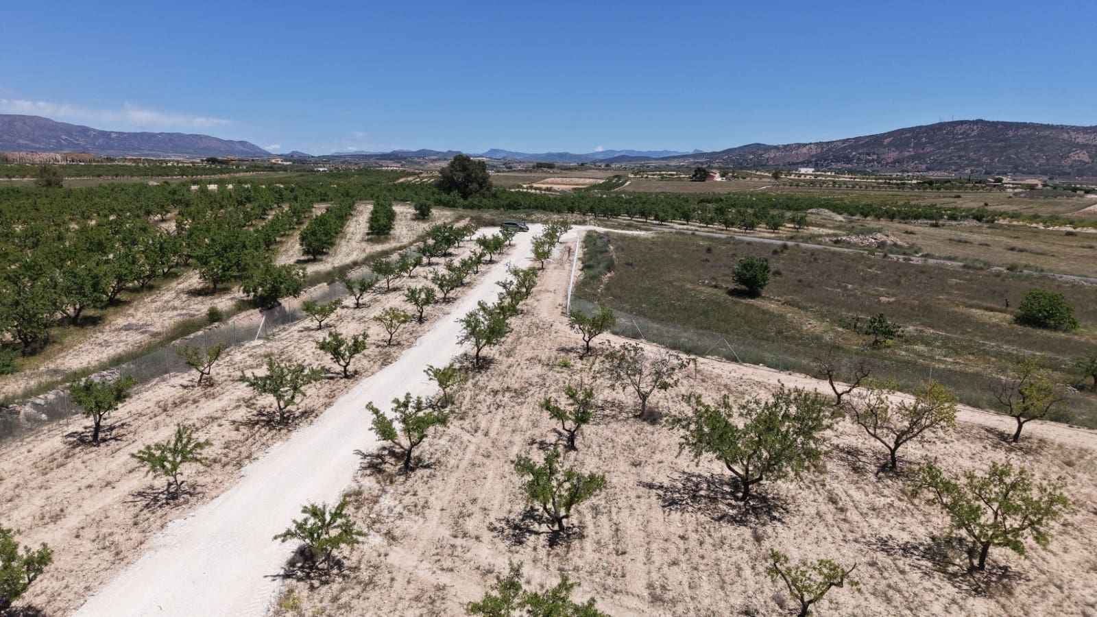 Undeveloped Land for sale in Pinoso - € 95,000 (Ref: 5017588)