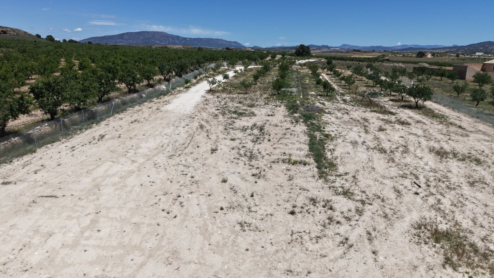 Undeveloped Land for sale in Pinoso - € 95,000 (Ref: 5017588)