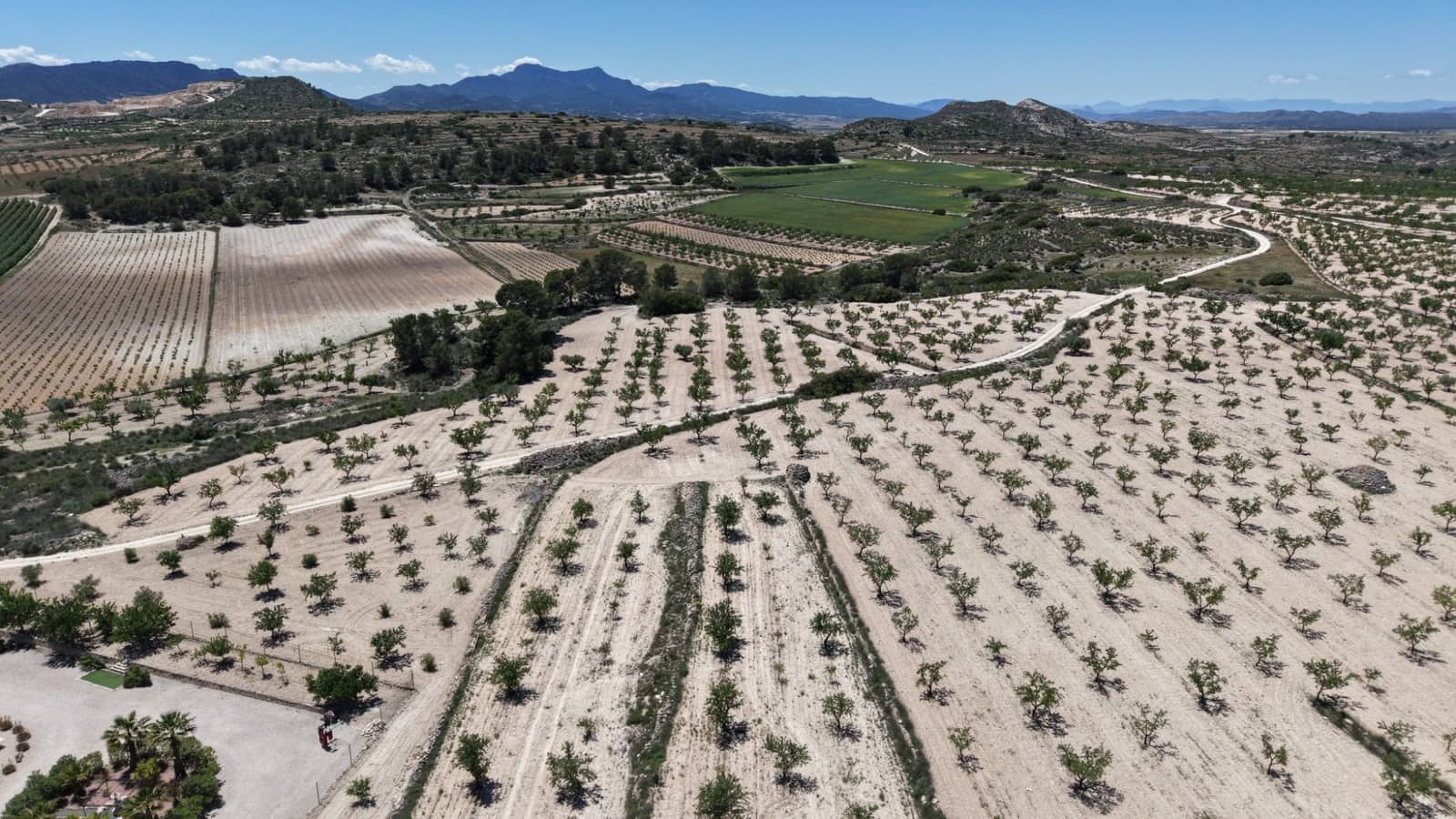 Undeveloped Land for sale in Pinoso - € 95,000 (Ref: 5017588)