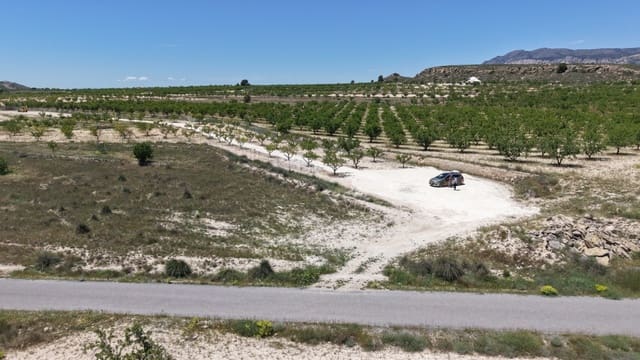 Terre non Aménagée à vendre à Pinoso - 95 000 € (Ref: 5017588)