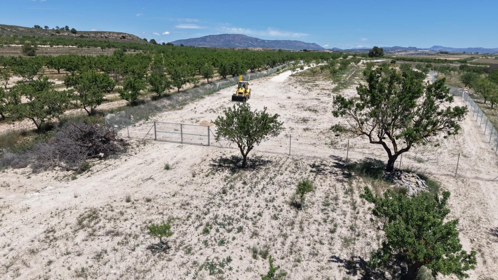 Undeveloped Land for sale in Pinoso - € 95,000 (Ref: 5017588)
