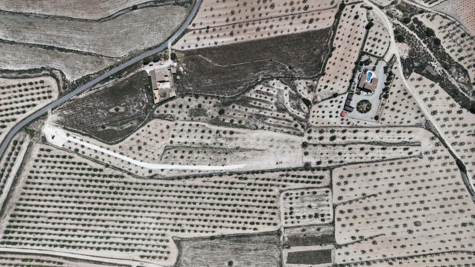 Undeveloped Land for sale in Pinoso - € 95,000 (Ref: 5017588)