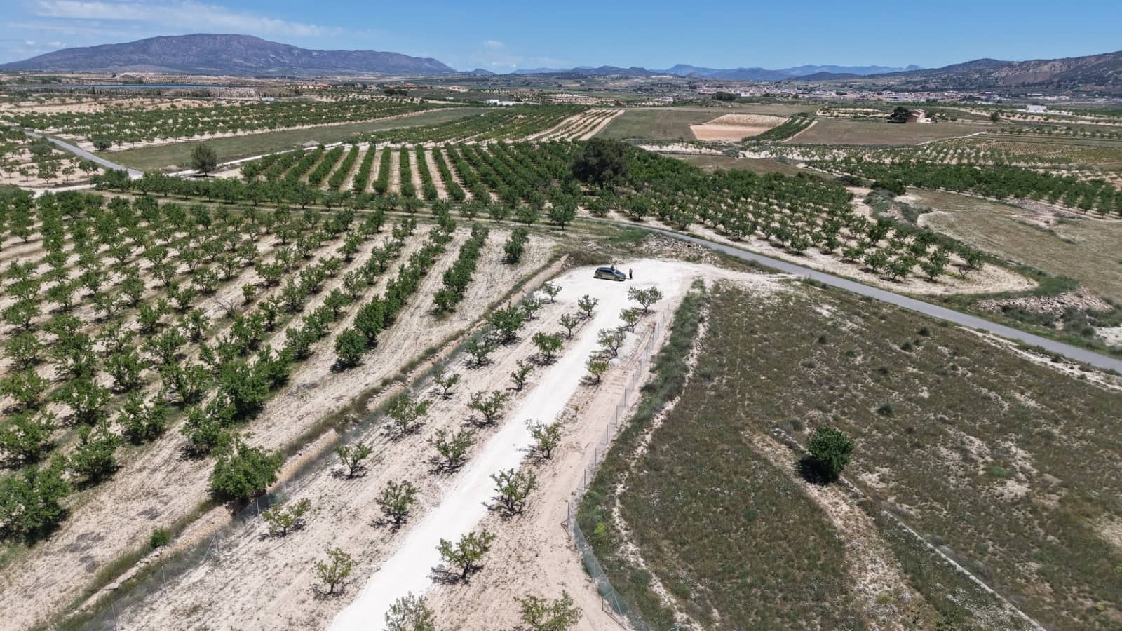 Undeveloped Land for sale in Pinoso - € 95,000 (Ref: 5017588)