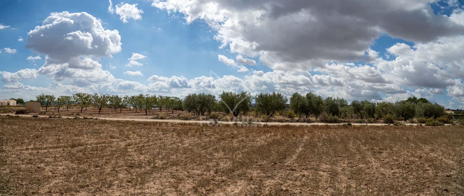 Grunde uden byggetilladelser til salg i Pinoso - € 65.000 (Ref: 5082363)