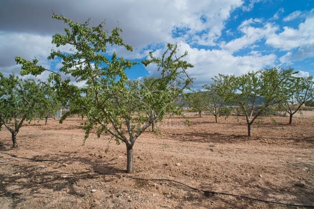 Grunde uden byggetilladelser til salg i Pinoso - € 65.000 (Ref: 5082363)