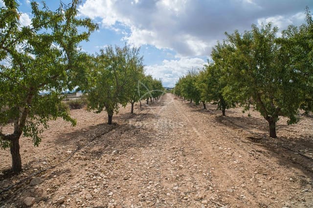 Grunde uden byggetilladelser til salg i Pinoso - € 65.000 (Ref: 5082363)