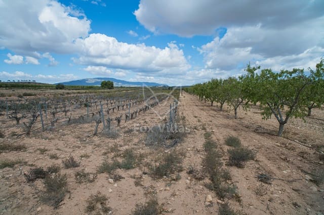 Terreno Não Urbanizado para venda em Pinoso - 65 000 € (Ref: 5082364)
