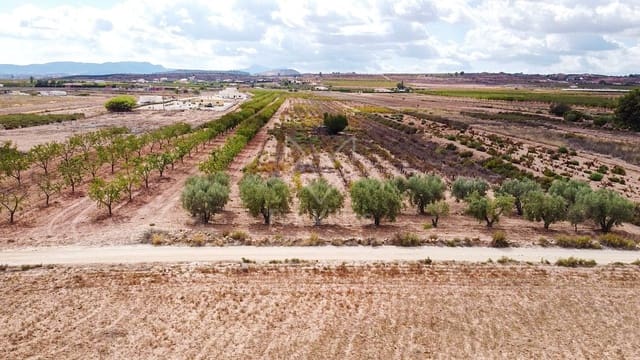 Terreno Não Urbanizado para venda em Pinoso - 65 000 € (Ref: 5082364)
