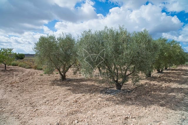 Terreno Não Urbanizado para venda em Pinoso - 65 000 € (Ref: 5082364)