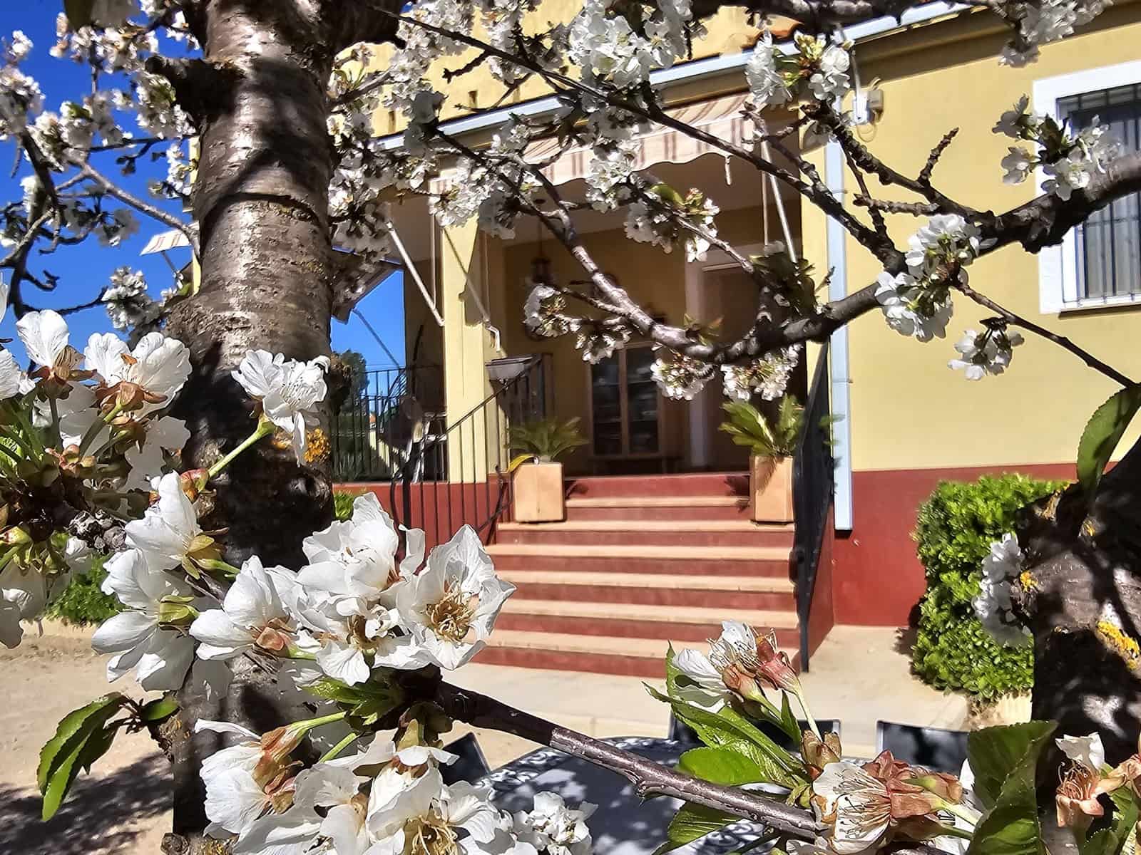 4 bedroom Villa for sale in Caudete with garage - € 209,950 (Ref: 5123177)