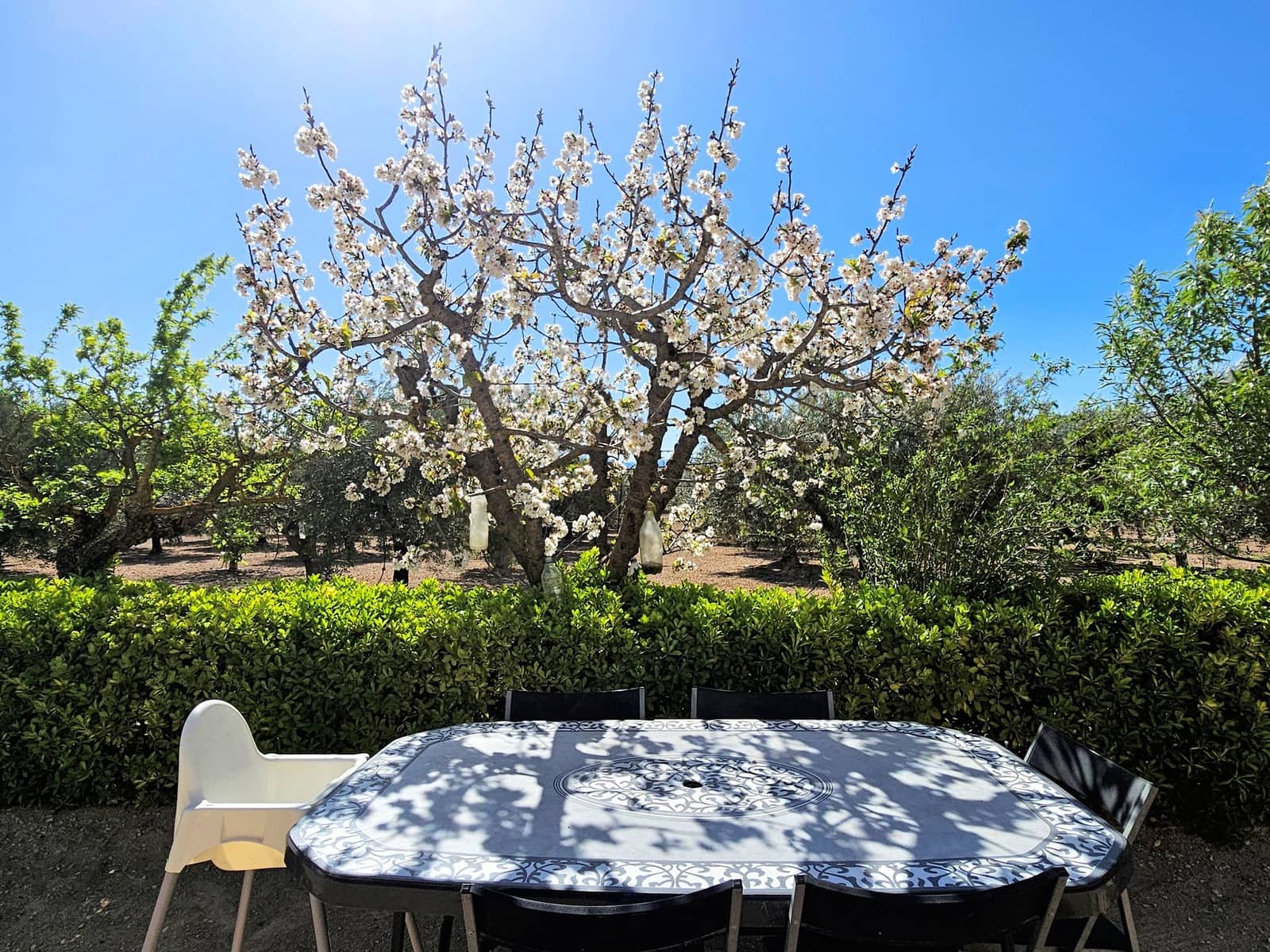 4 bedroom Villa for sale in Caudete with garage - € 209,950 (Ref: 5123177)
