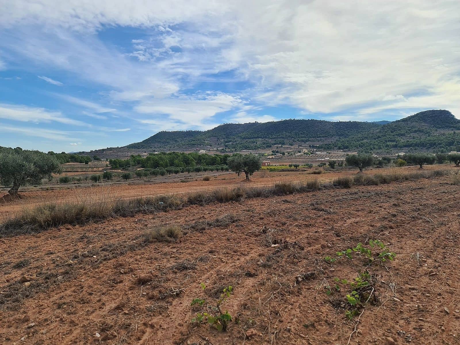 Grunde uden byggetilladelser til salg i Pinoso - € 35.000 (Ref: 8649415)