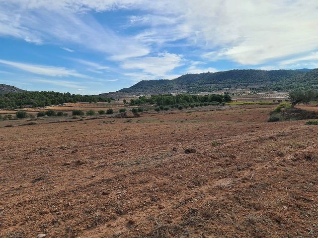 Grond te koop in Pinoso - € 35.000 (Ref: 8649415)