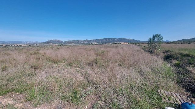 Terreno/Finca Rústica en Salinas en venta - 49.999 € (Ref: 8649507)
