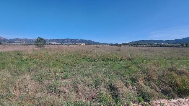 Terreno/Finca Rústica en Salinas en venta - 49.999 € (Ref: 8649507)
