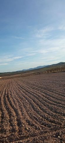 Terreno/Finca Rústica en Salinas en venta - 99.999 € (Ref: 8649508)