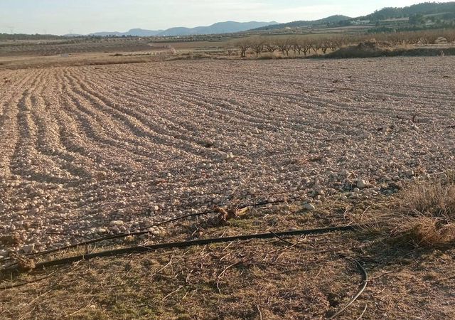 Terreno/Finca Rústica en Salinas en venta - 99.999 € (Ref: 8649508)