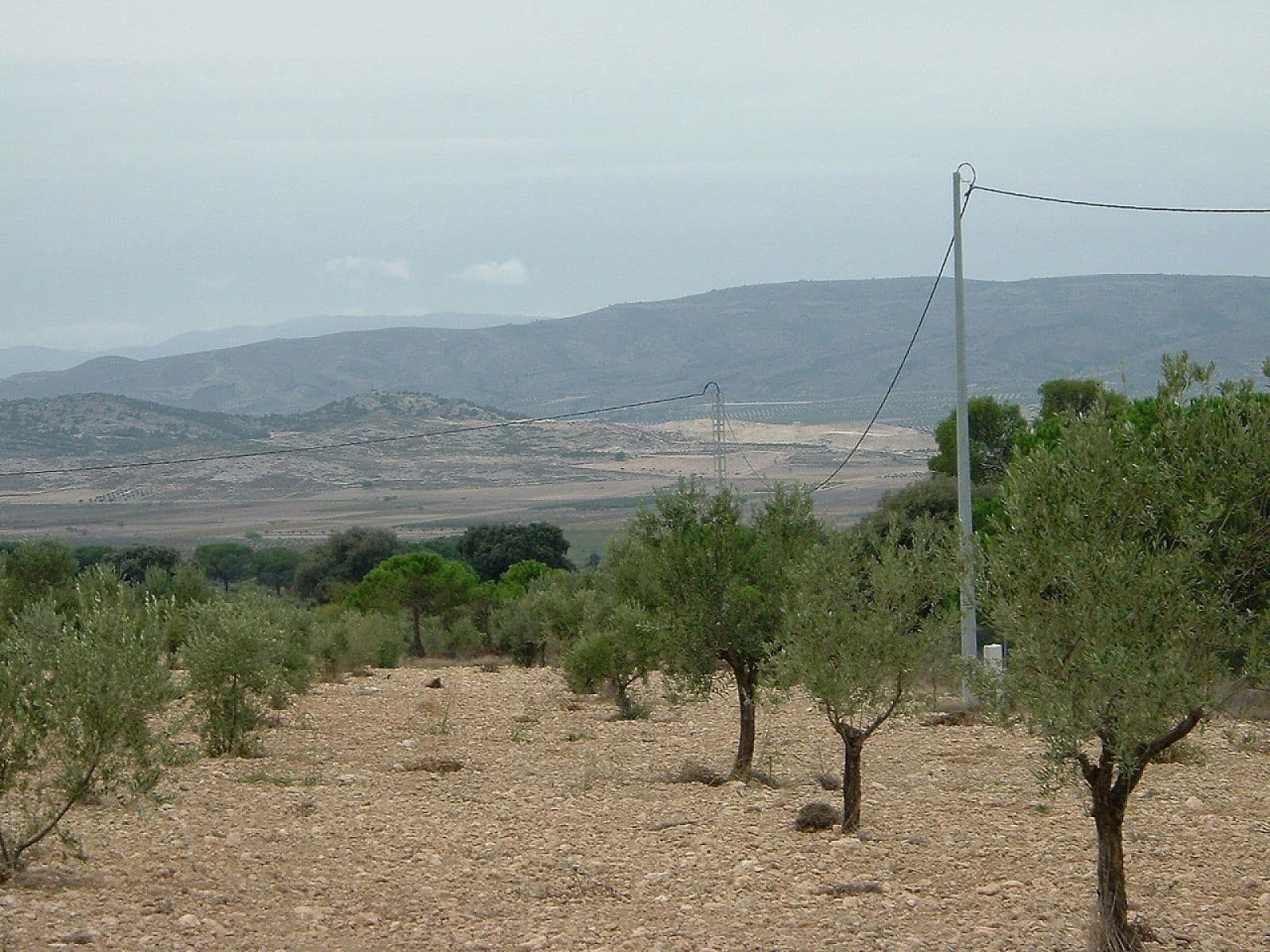Ubebygd land til salgs i Biar - € 75 000 (Ref: 8649521)