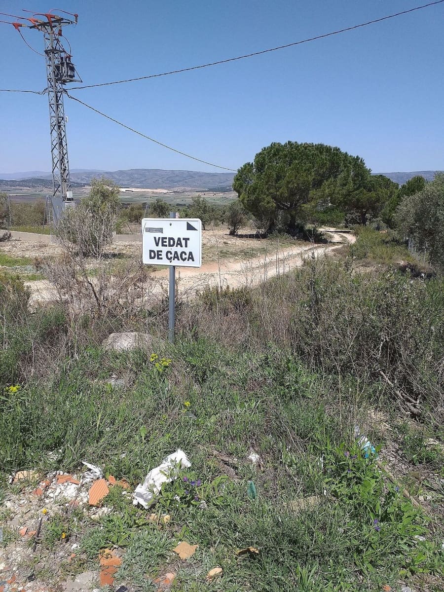 Ubebygd land til salgs i Biar - € 75 000 (Ref: 8649521)