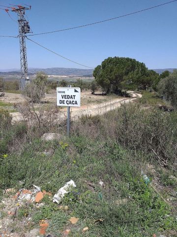 Terreno Não Urbanizado para venda em Biar - 75 000 € (Ref: 8649521)