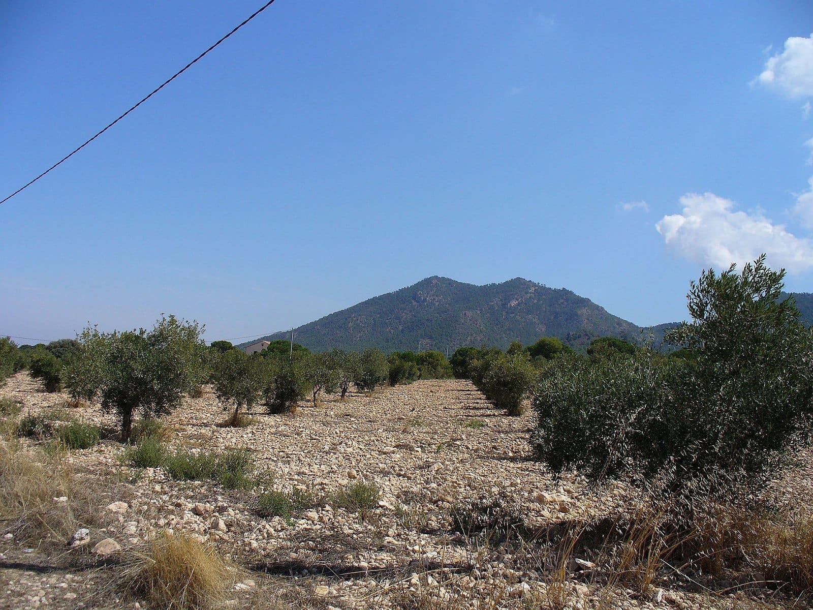 Ubebygd land til salgs i Biar - € 75 000 (Ref: 8649521)