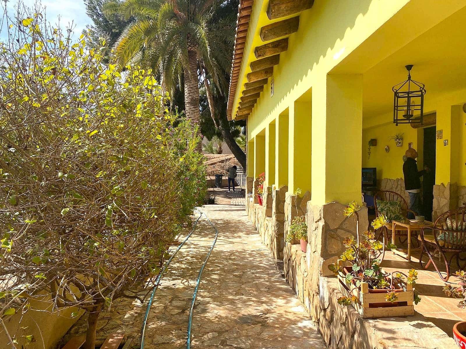 3 chambre Villa/Maison à vendre à Novelda avec piscine - 270 000 € (Ref: 8649614)