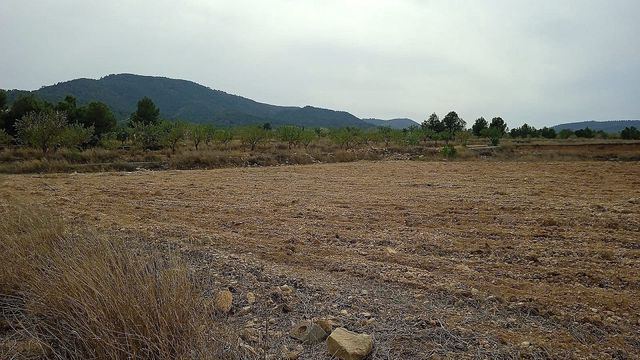 Terreno Não Urbanizado para venda em Monóvar / Monóver - 65 000 € (Ref: 8649624)