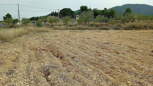Terreno Não Urbanizado para venda em Monóvar / Monóver - 65 000 € (Ref: 8649624)