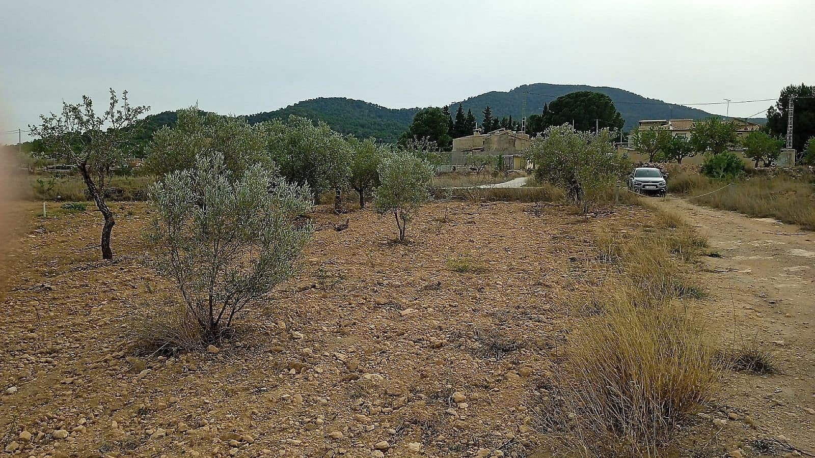 Ubebygd land til salgs i Monovar / Monover - € 50 000 (Ref: 8649625)