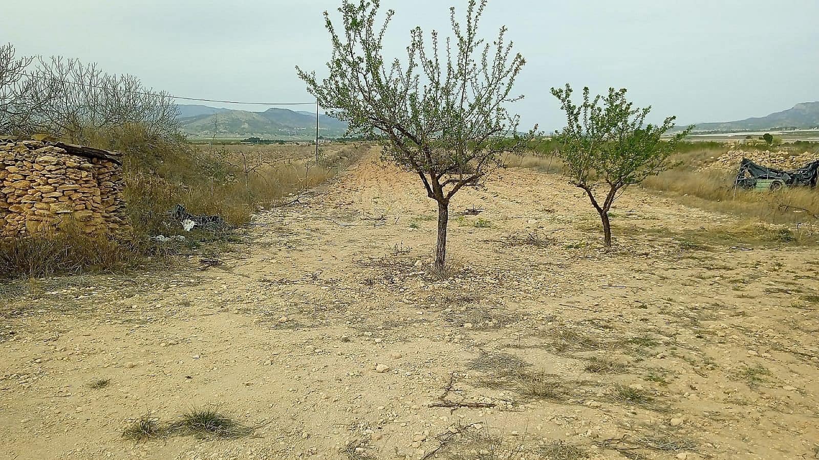 Ubebygd land til salgs i Monovar / Monover - € 50 000 (Ref: 8649625)