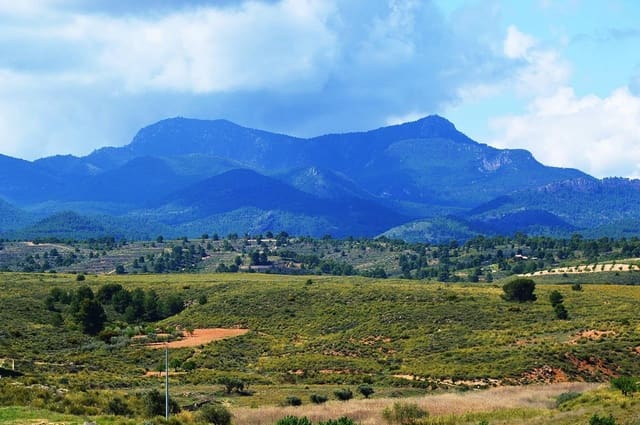 4 bedroom Cave House for sale in Abanilla with pool garage - € 95,000 (Ref: 8649678)