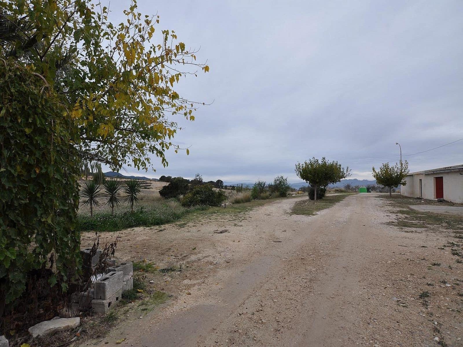 5 bedroom Cave House for sale in Jumilla with garage - € 69,995 (Ref: 8649770)