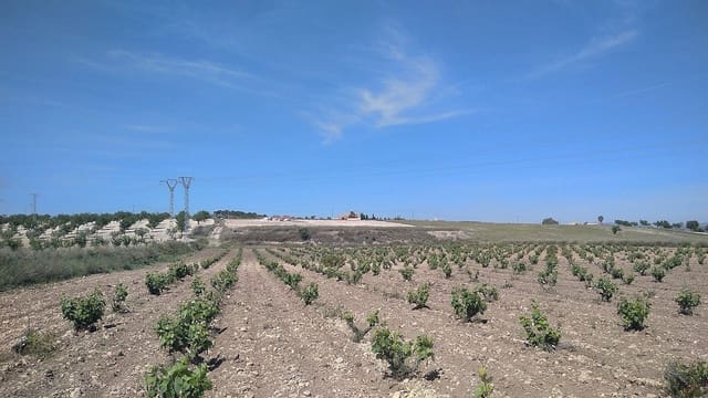 Villa in vendita in Jumilla con piscina - 119.000 € (Rif: 8649787)