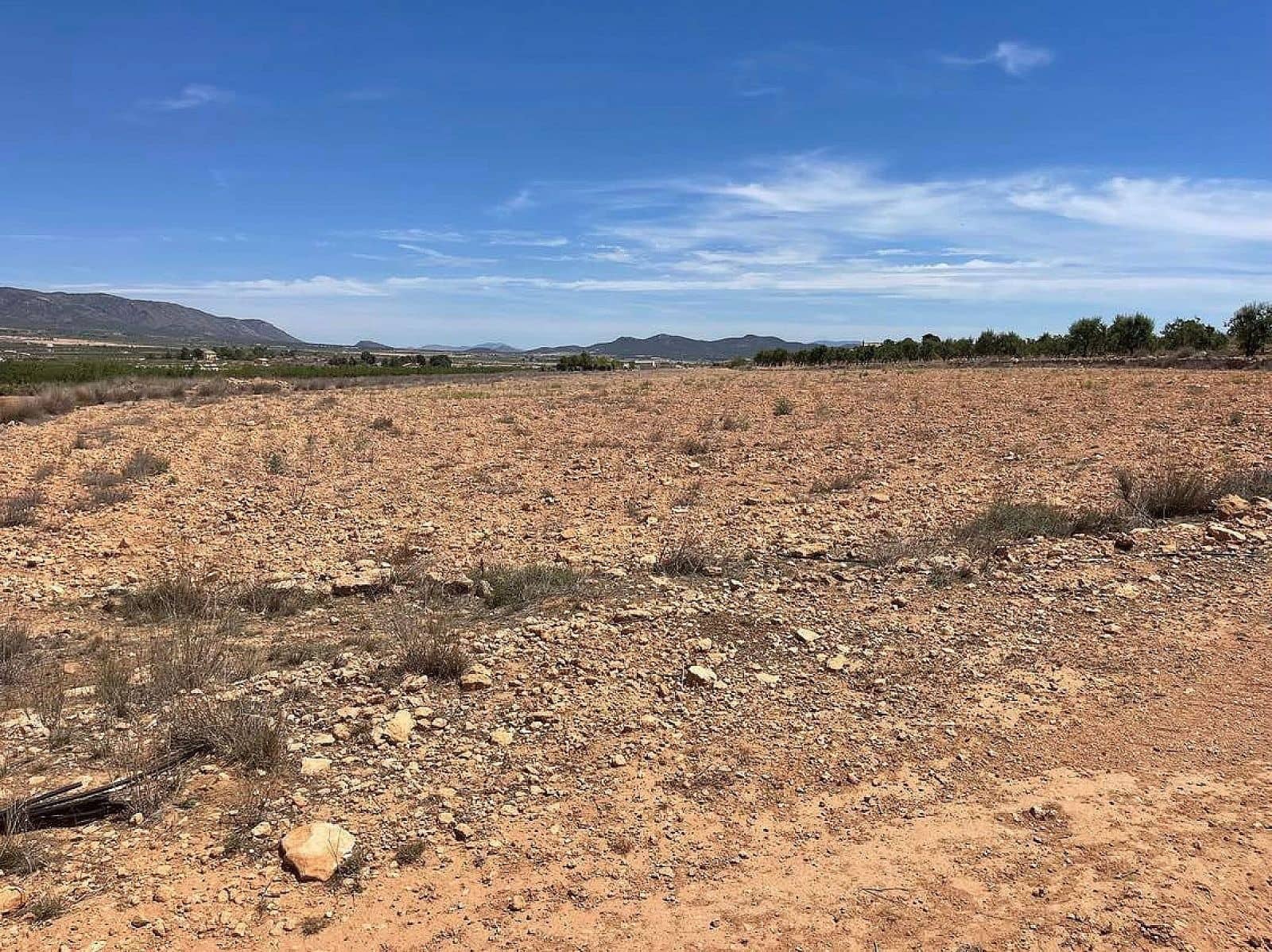 Terreno Non Edificato in vendita in Pinoso - 75.000 € (Rif: 8649830)