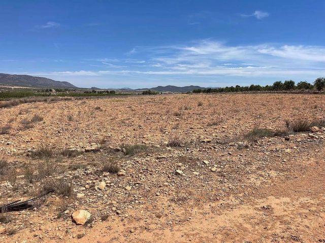 Terreno Non Edificato in vendita in Pinoso - 75.000 € (Rif: 8649830)