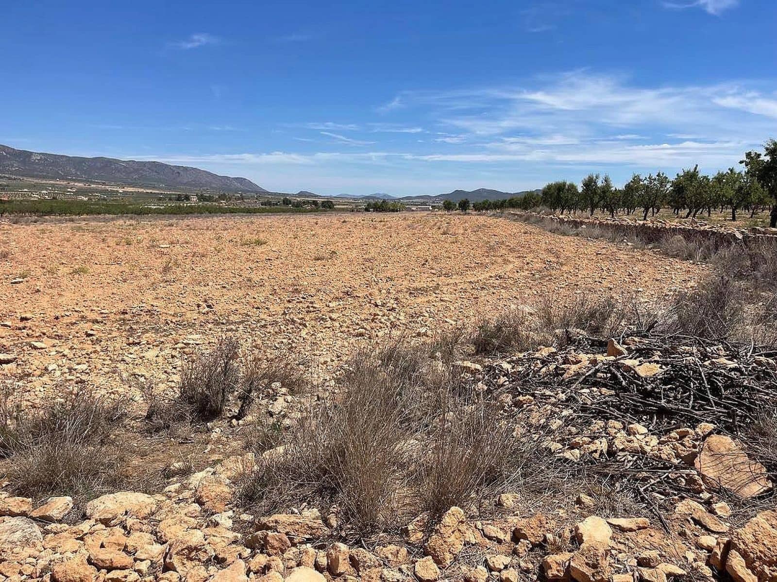 Terreno Non Edificato in vendita in Pinoso - 75.000 € (Rif: 8649830)