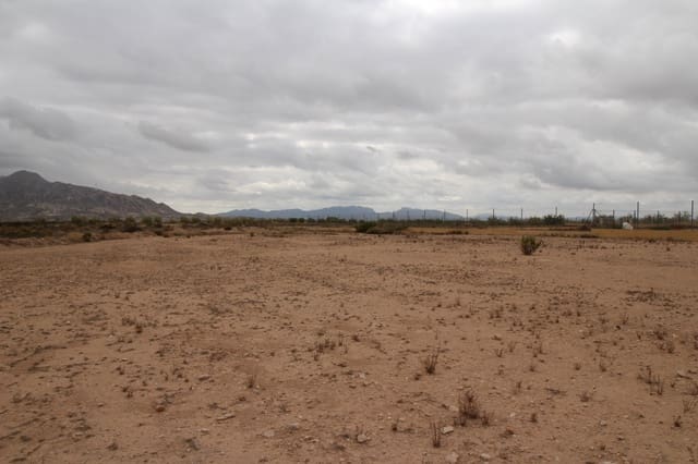 Undeveloped Land for sale in Abanilla - € 43,000 (Ref: 8668060)