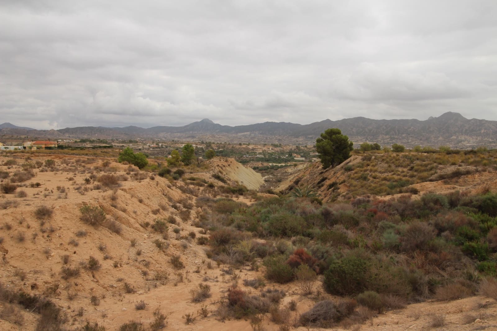 Undeveloped Land for sale in Abanilla - € 43,000 (Ref: 8668060)